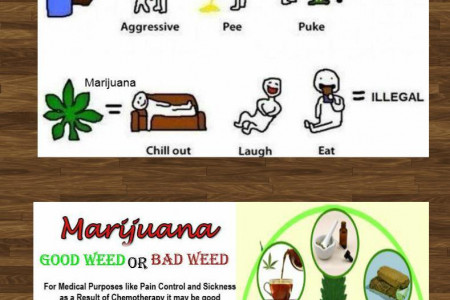 Buy Medical Marijuana Online Infographic