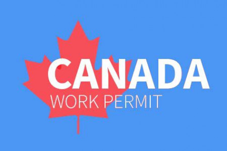 Canada Work Permit Consultants Infographic