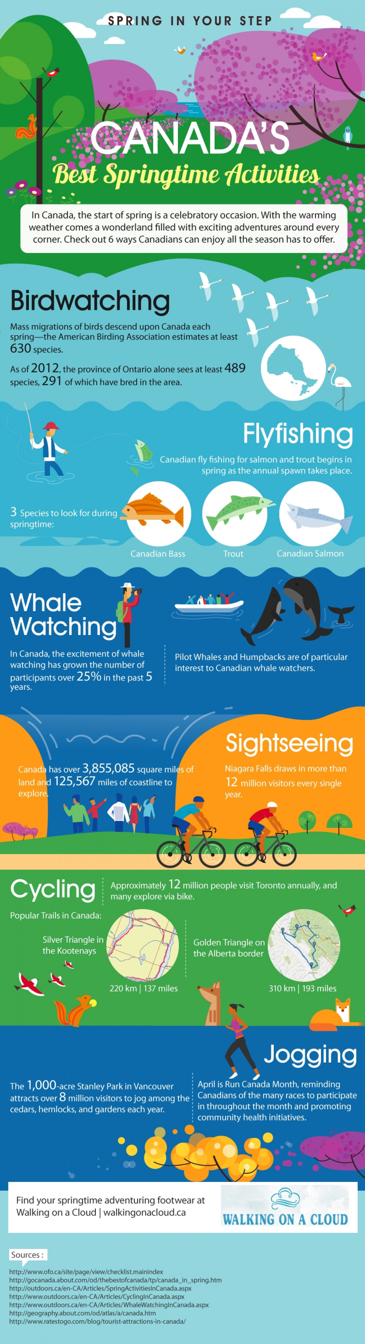 Canada's Best Springtime Activities Infographic