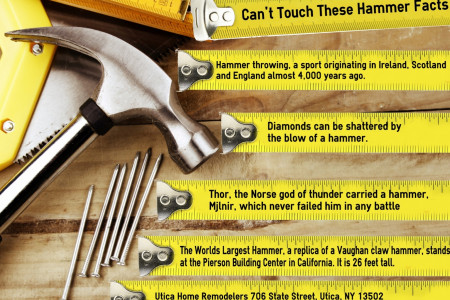 Can't touch these hammer facts Infographic