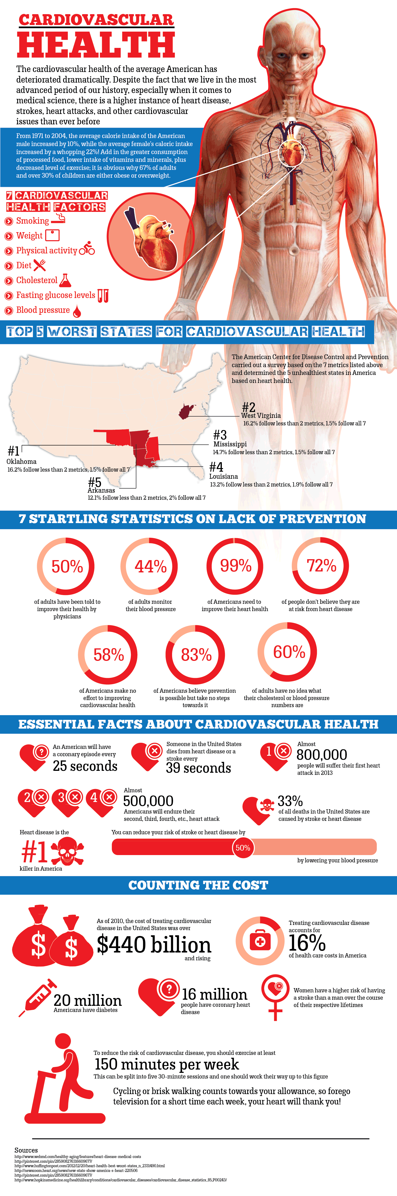 Cardiovascular Health  Infographic