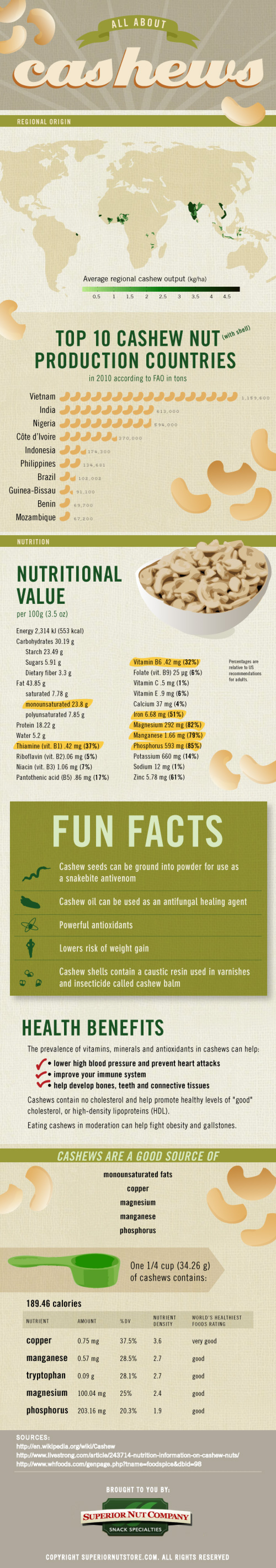 Cashews Infographic Infographic