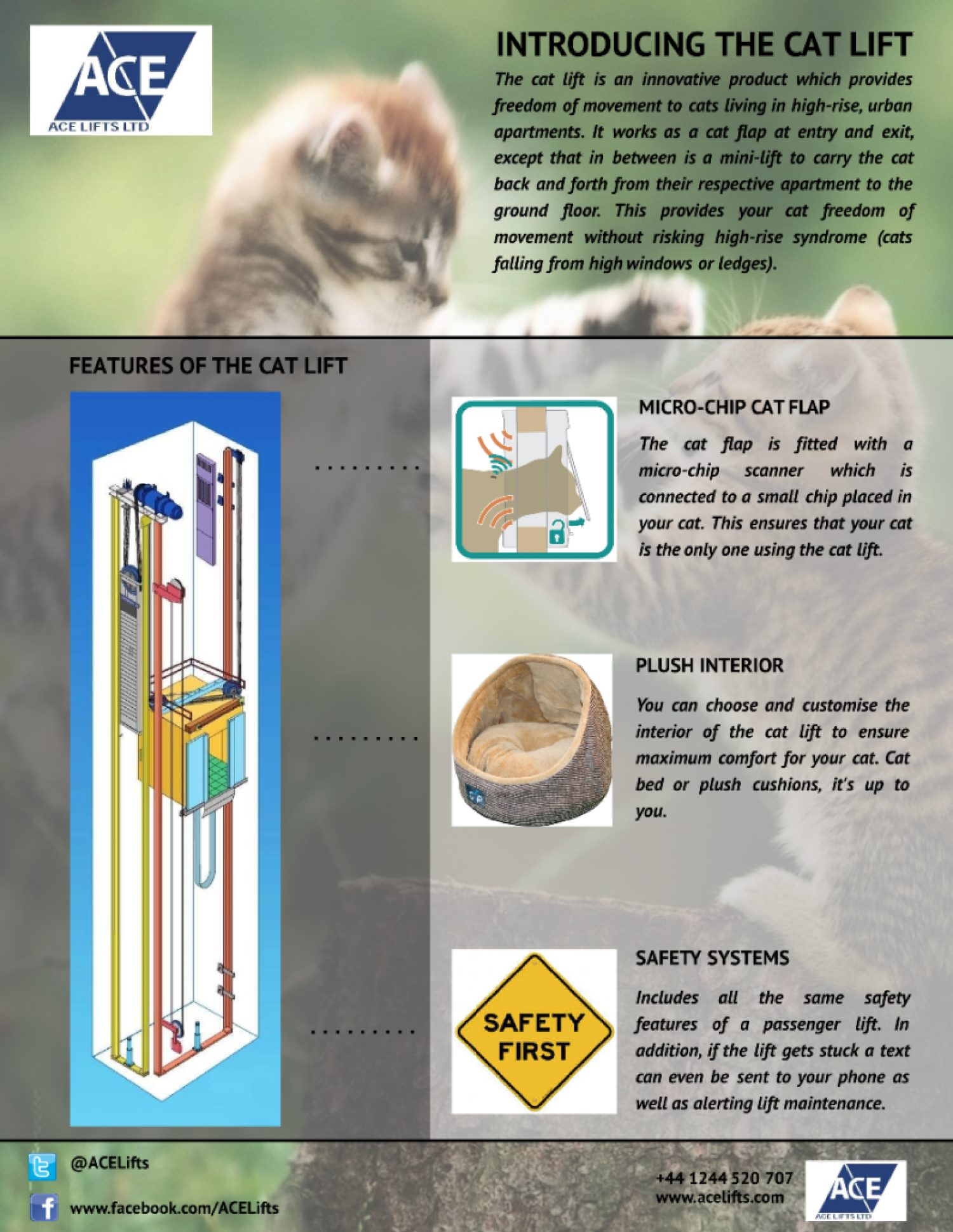 Cat Lift Infographic