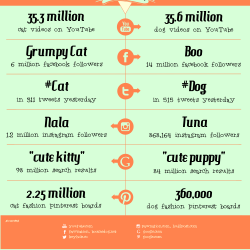 are dogs or cats more popular on the internet