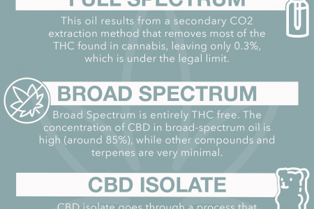 CBD Products to Look For Infographic