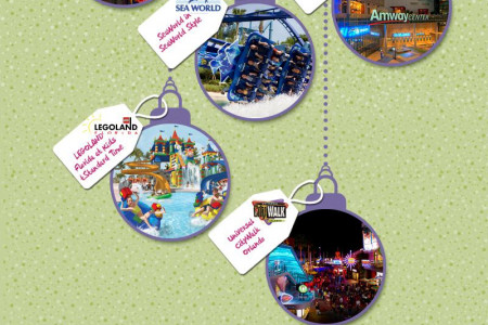 Celebrate Christmas and New Year Eve in Special Way in Florida Infographic