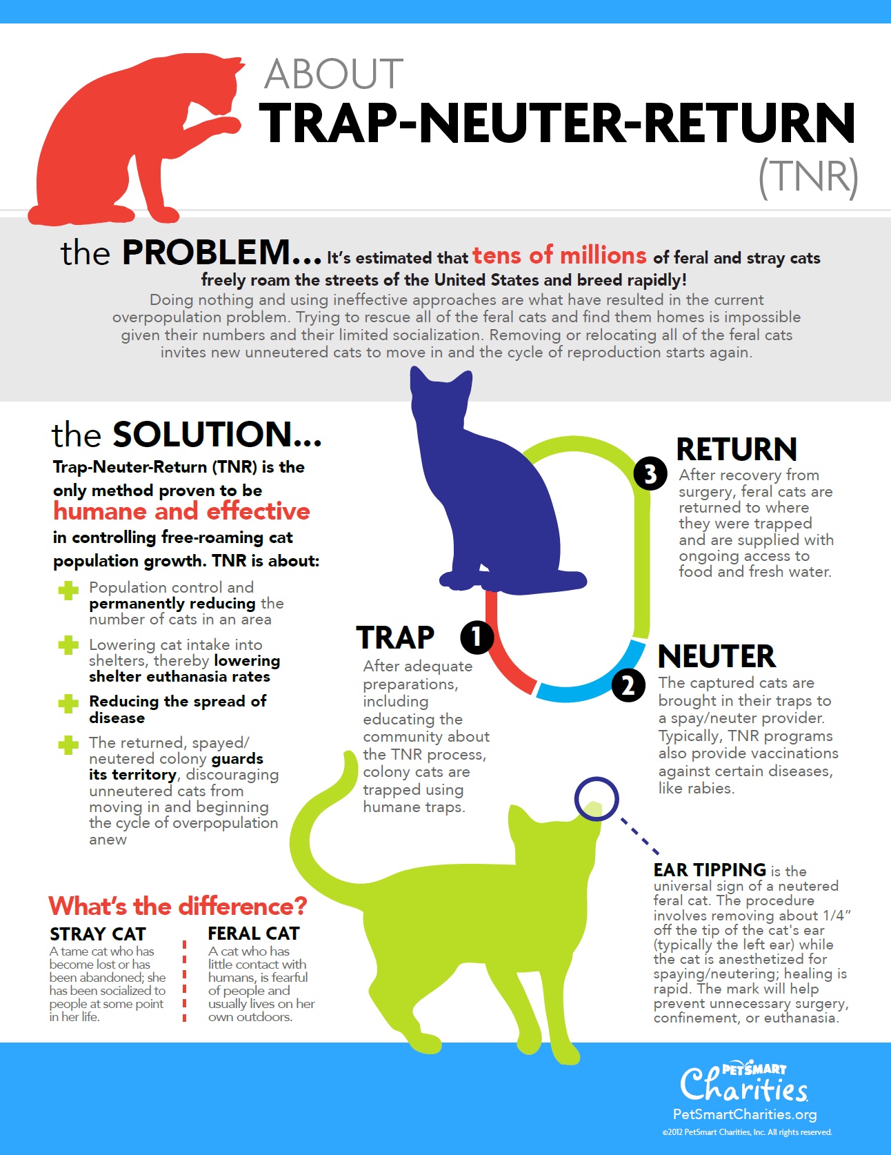 How To Trap Feral Cats - TNR - #FeralCatDay