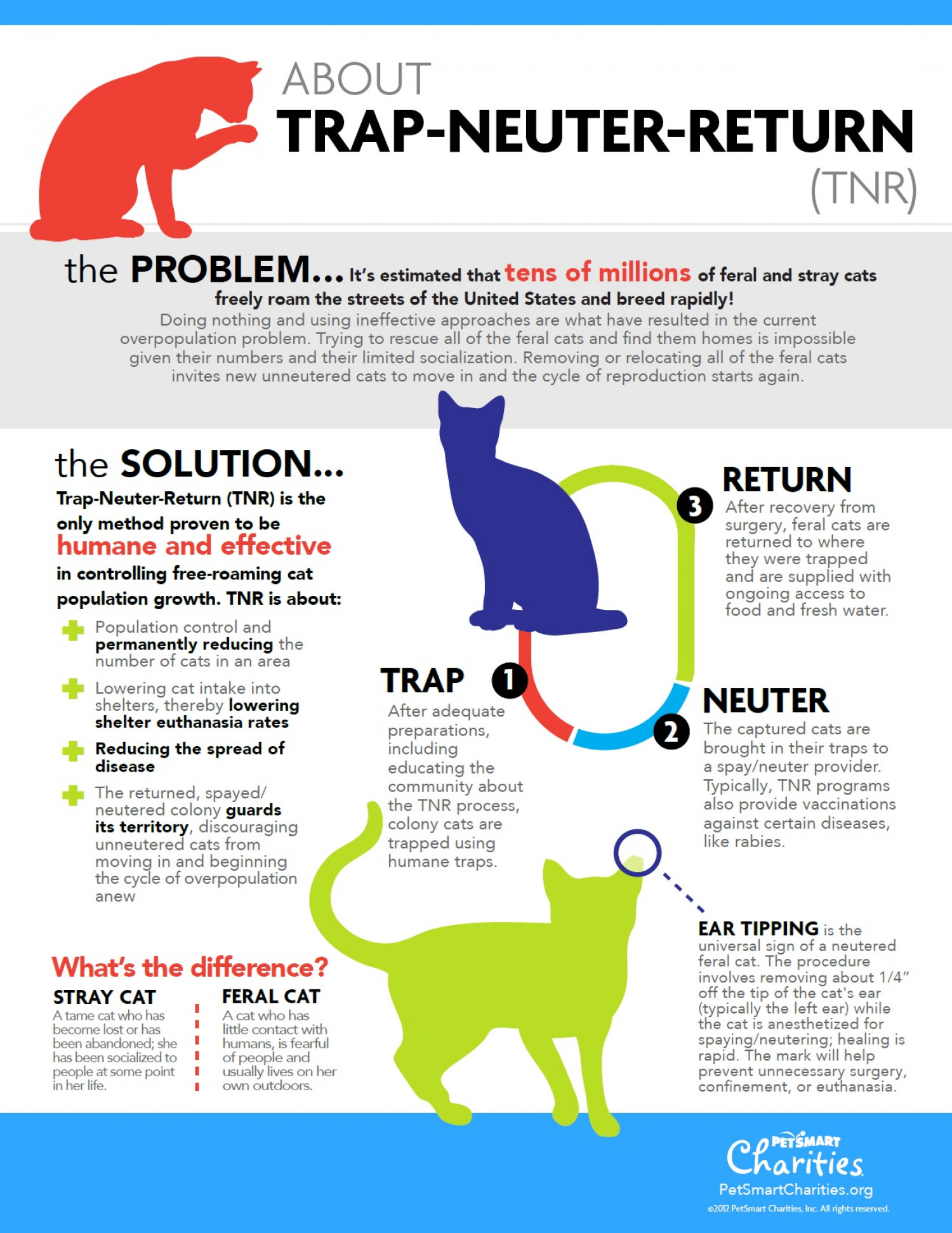 Returning healthy feral cats  HumanePro by The Humane Society of