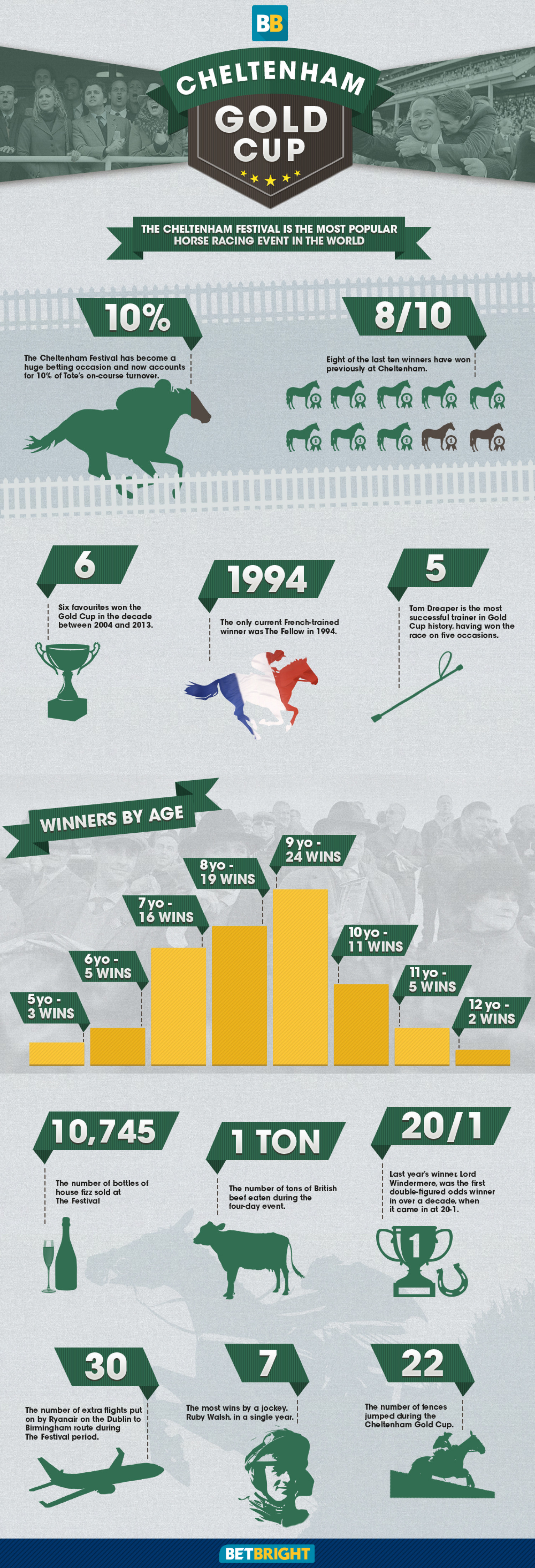 Cheltenham Gold Cup Infographic Infographic