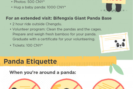 Chengdu Giant Panda Attractions Infographic