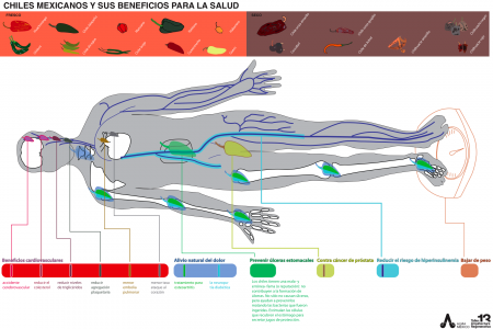 chili Infographics