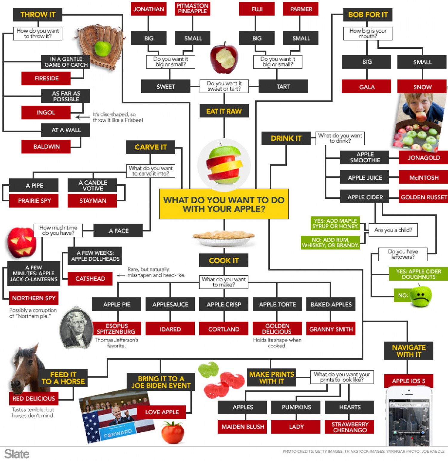 Choose The Right Apple Infographic