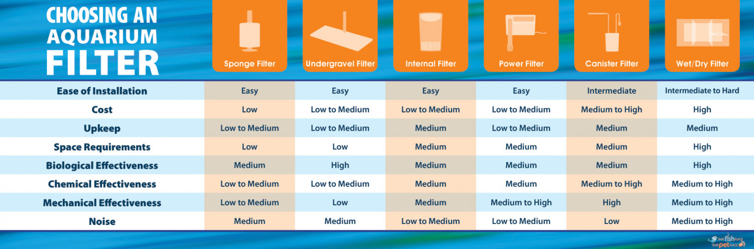 Choosing an Aquarium Filter Infographic