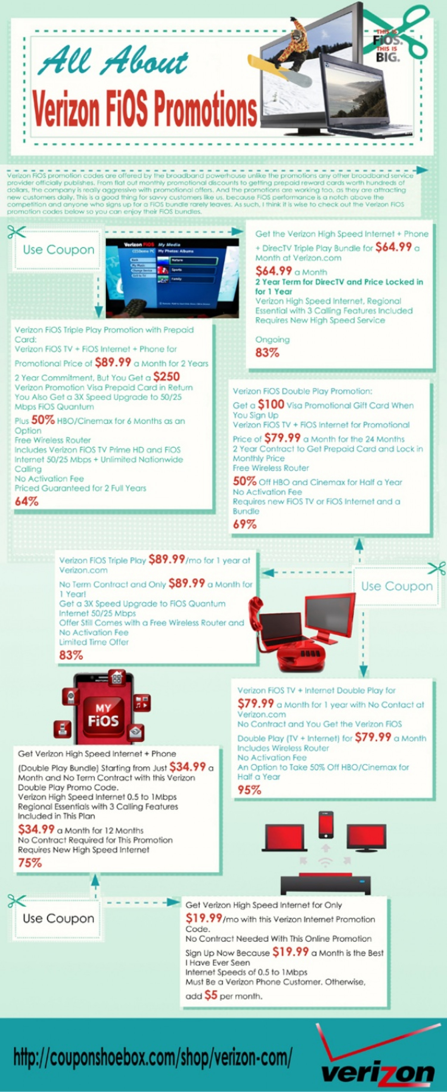 Choosing The Best FiOS Package Infographic
