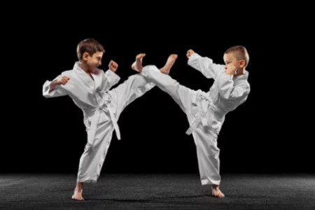 Choosing the Right Taekwondo School for Your Kids in Singapore Infographic