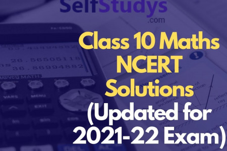 Class 10 Maths NCERT Solutions (Updated for 2021-22 Exam) Infographic