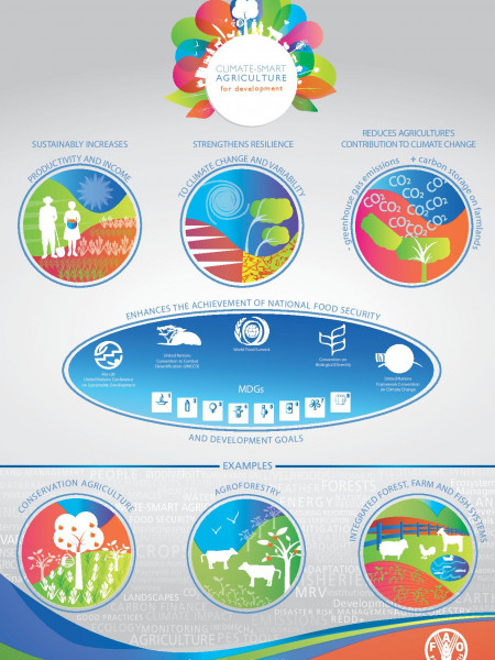 Climate smart agriculture for development Infographic