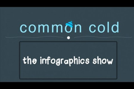 Common Cold Infographic