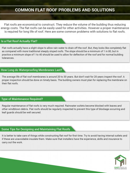 Common Flat Roof Problems With Solutions Infographic