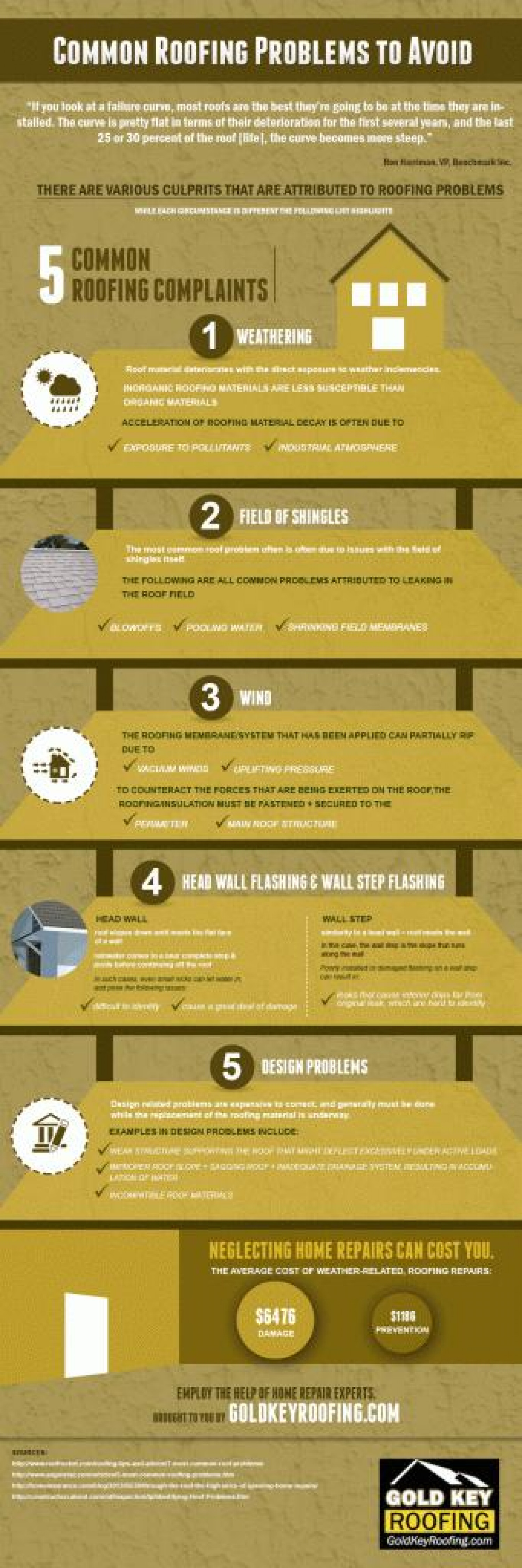 Common Roofing Problems to Avoid Infographic