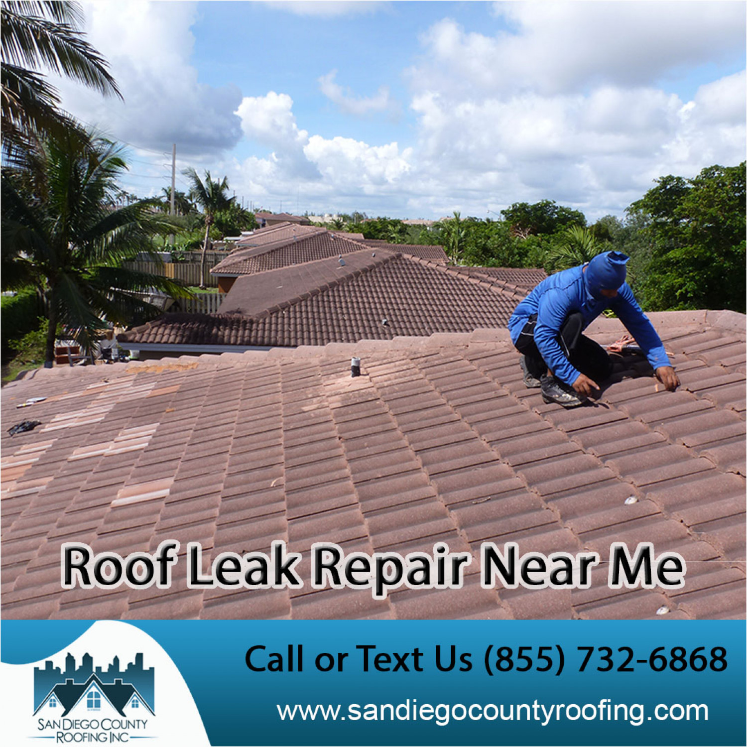 Company for Roof Leak Repair near Me Infographic