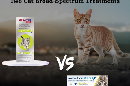 Comparing Bravecto Plus vs Revolution Plus for Cats! Infographic