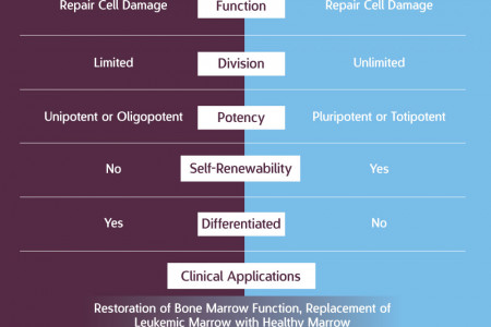 Comparing Progenitor and CD34+ Cells Infographic