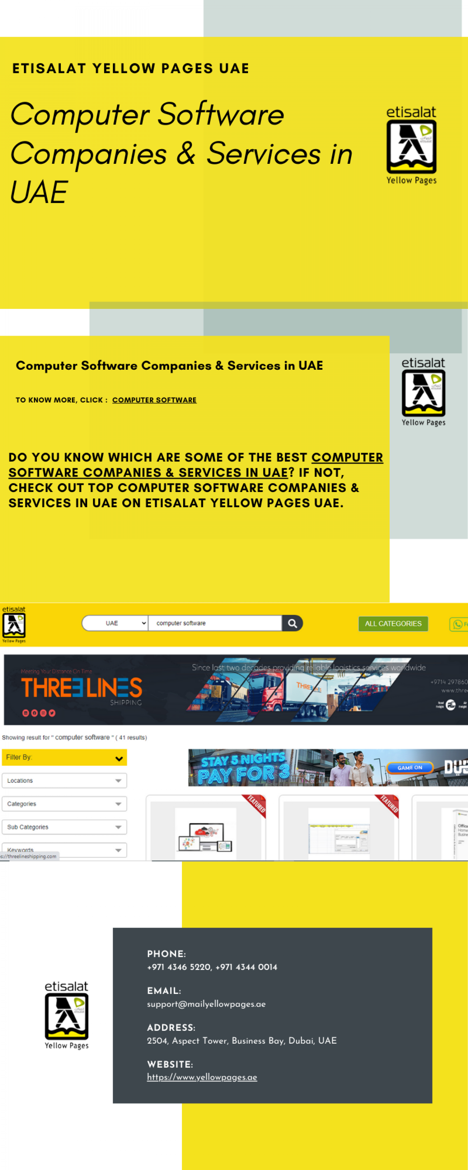 Computer Software Companies & Services in UAE Infographic