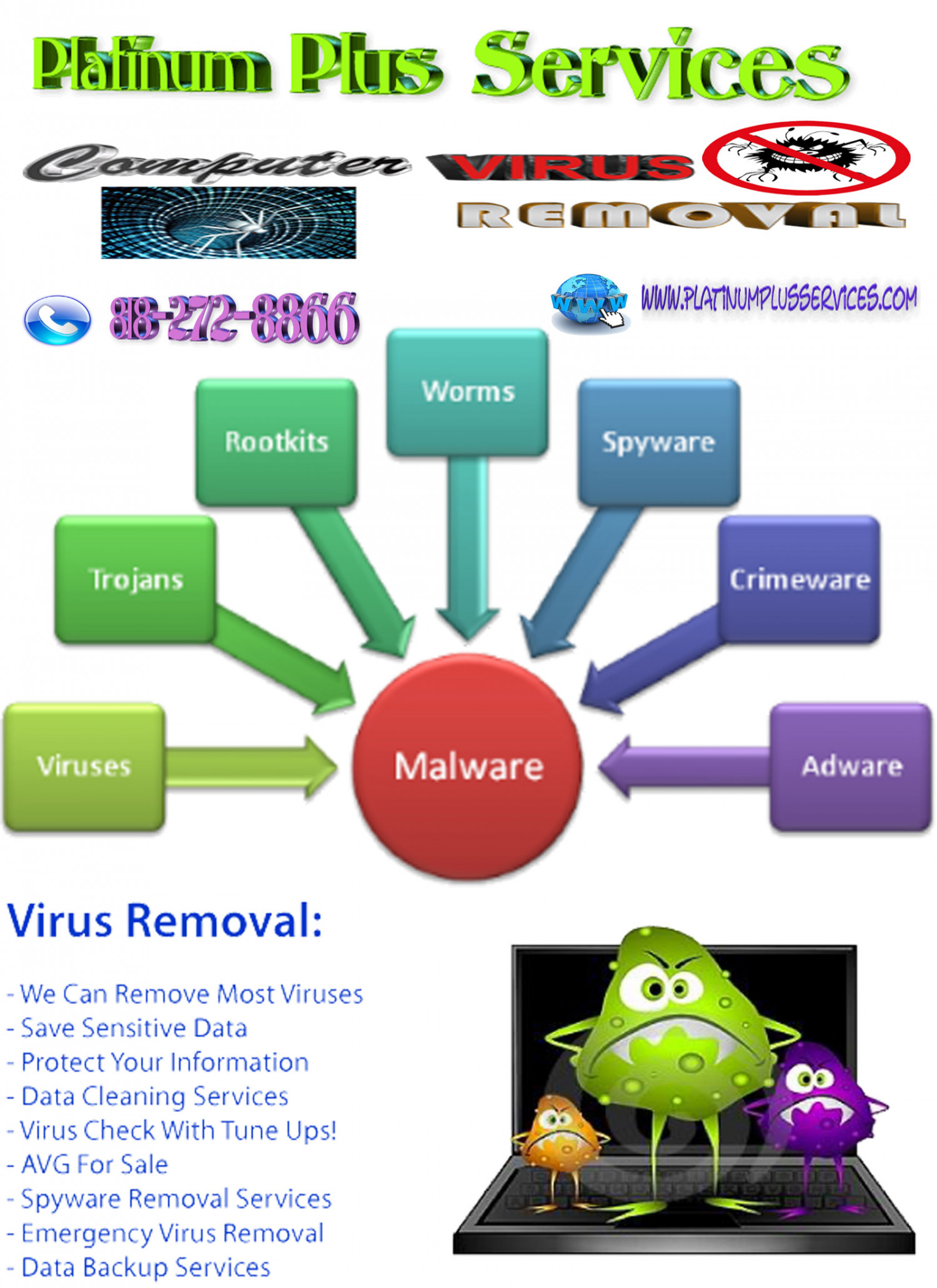 Computer Virus Removal Infographic