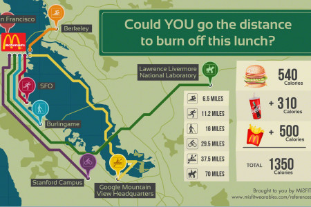 Could YOU go the distance to burn off this lunch Infographic