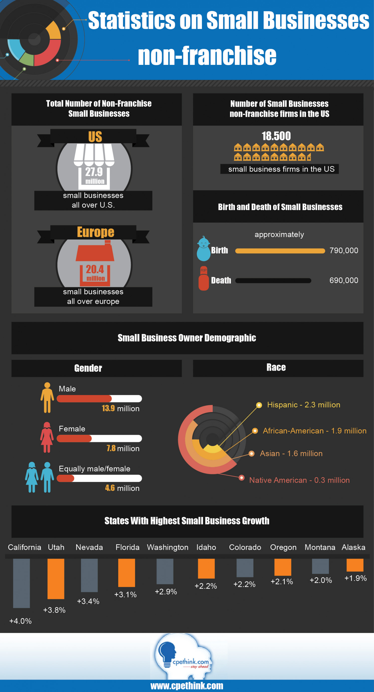 Statistics on Small Businesses Non-Franchise Infographic