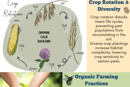 Cultivating Balance Eco-Friendly Pest Control in Farming Infographic