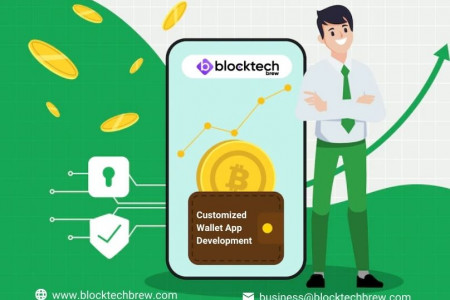 Customized Wallet App Development - BlockTech Brew Infographic