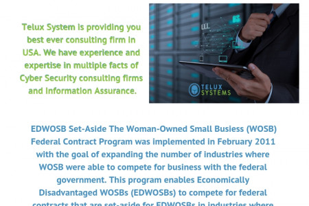 Cyber Security Consulting Firms - Telux Systems Infographic