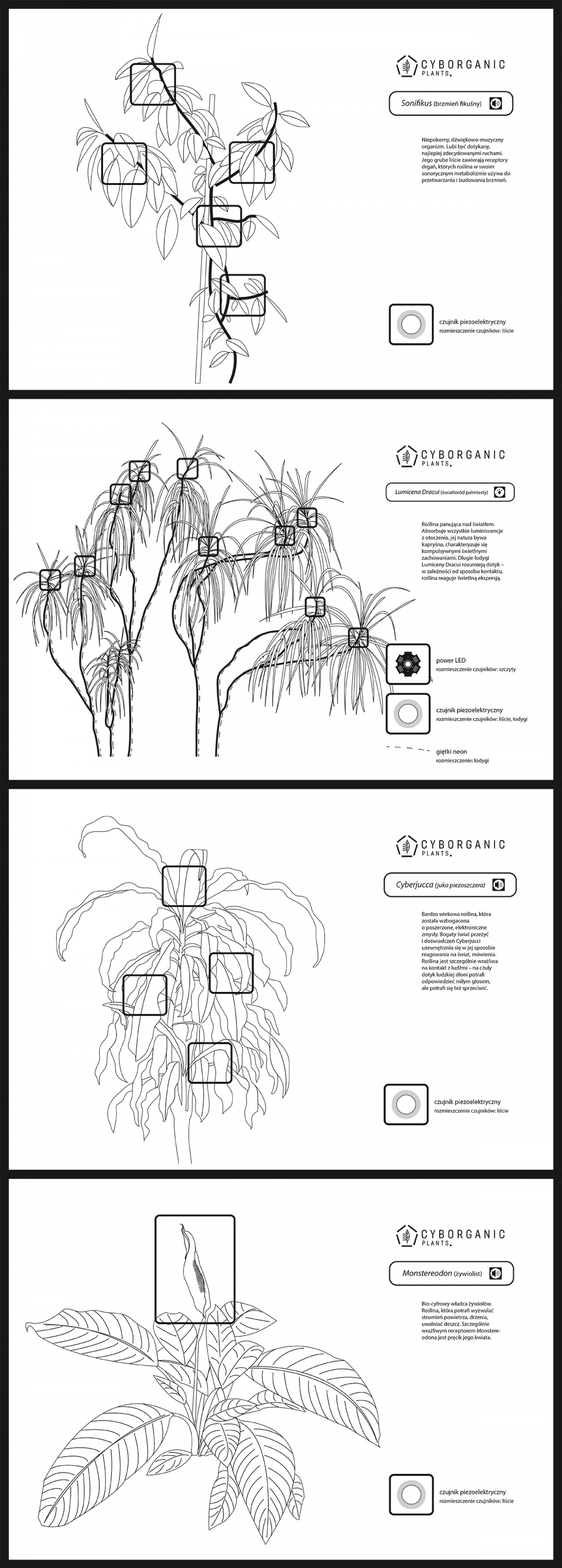 Cyborganic Plants Music Experiment Infographics Infographic