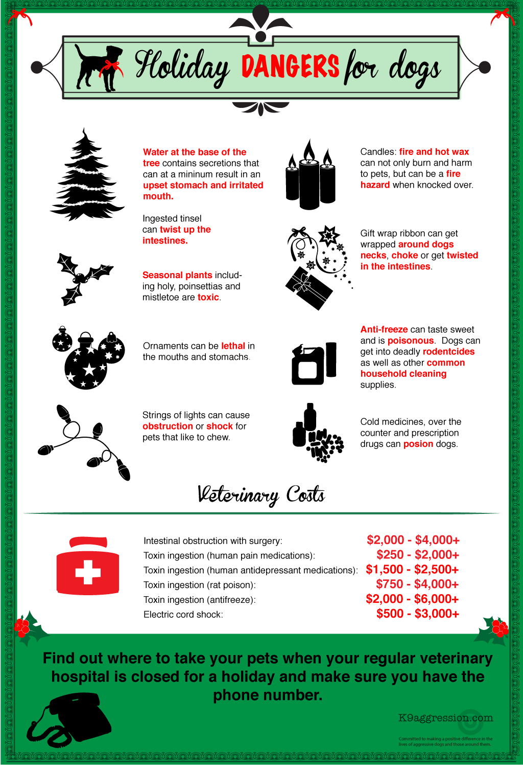 Dangerous Items for Dogs During the Holiday Season [Infographic] Infographic