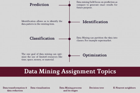 Data Mining Assignment Help For Students Infographic