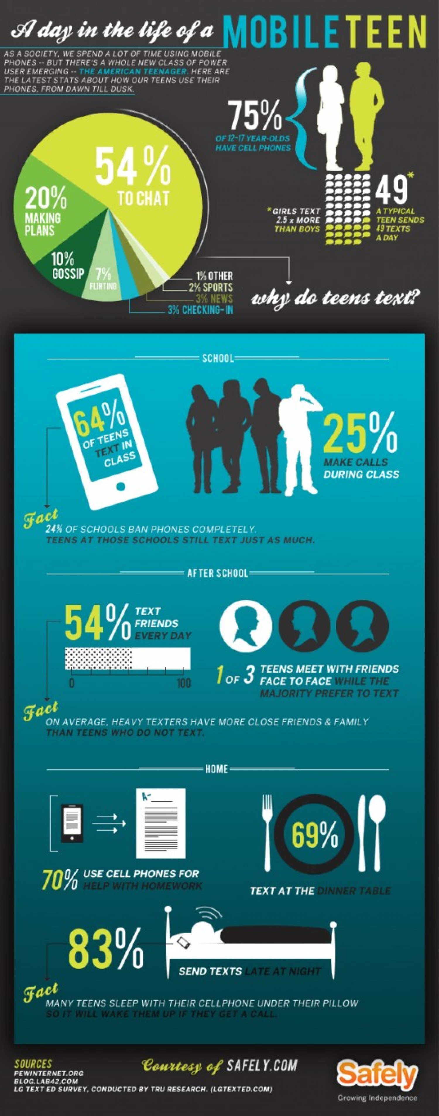 Day in the life of a mobile teen Infographic