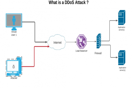 DDoS Attacks Infographic