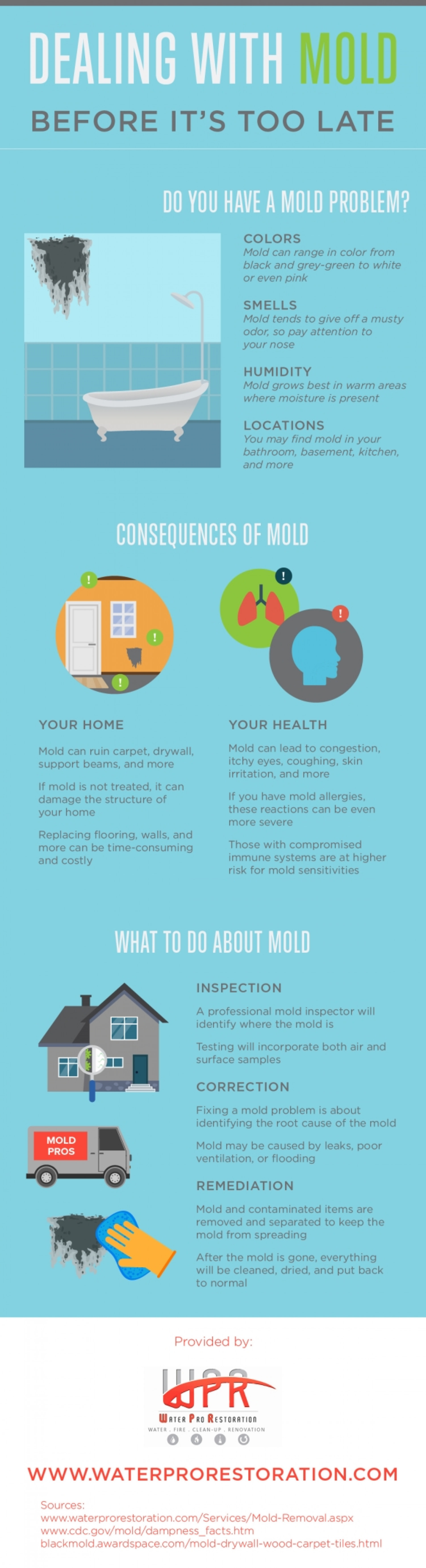 Dealing with Mold Before It’s Too Late  Infographic