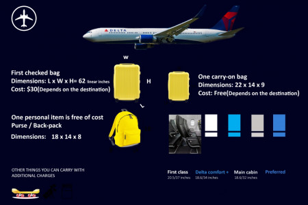 Delta Airlines Baggage Policy Infographic