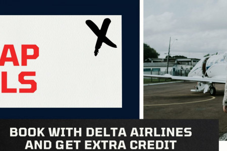 Delta Airlines web check-in Infographic