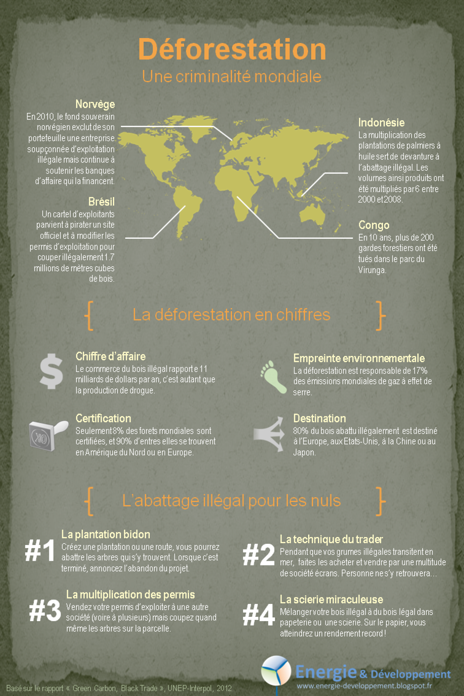 Déforestation illégale : une criminalité mondiale Infographic