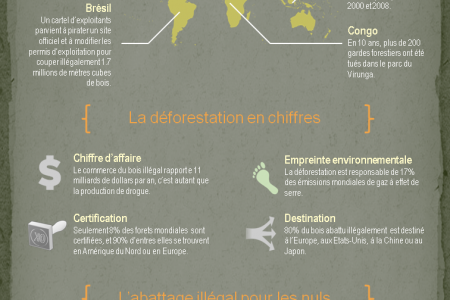 Déforestation illégale : une criminalité mondiale Infographic