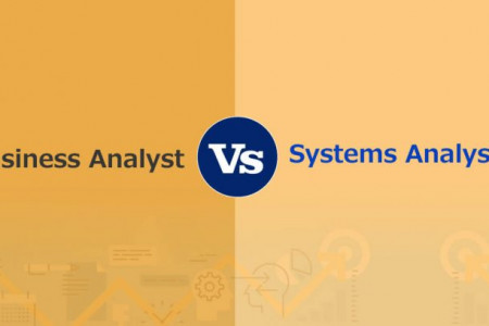 Difference Between Business Analyst and System Analyst Infographic