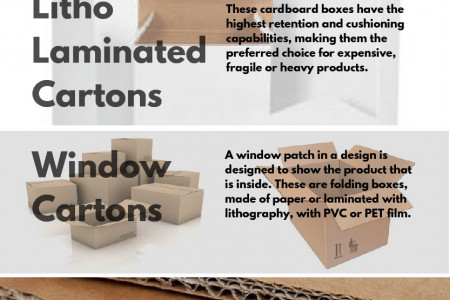 Different Types of Carton Packaging  Infographic