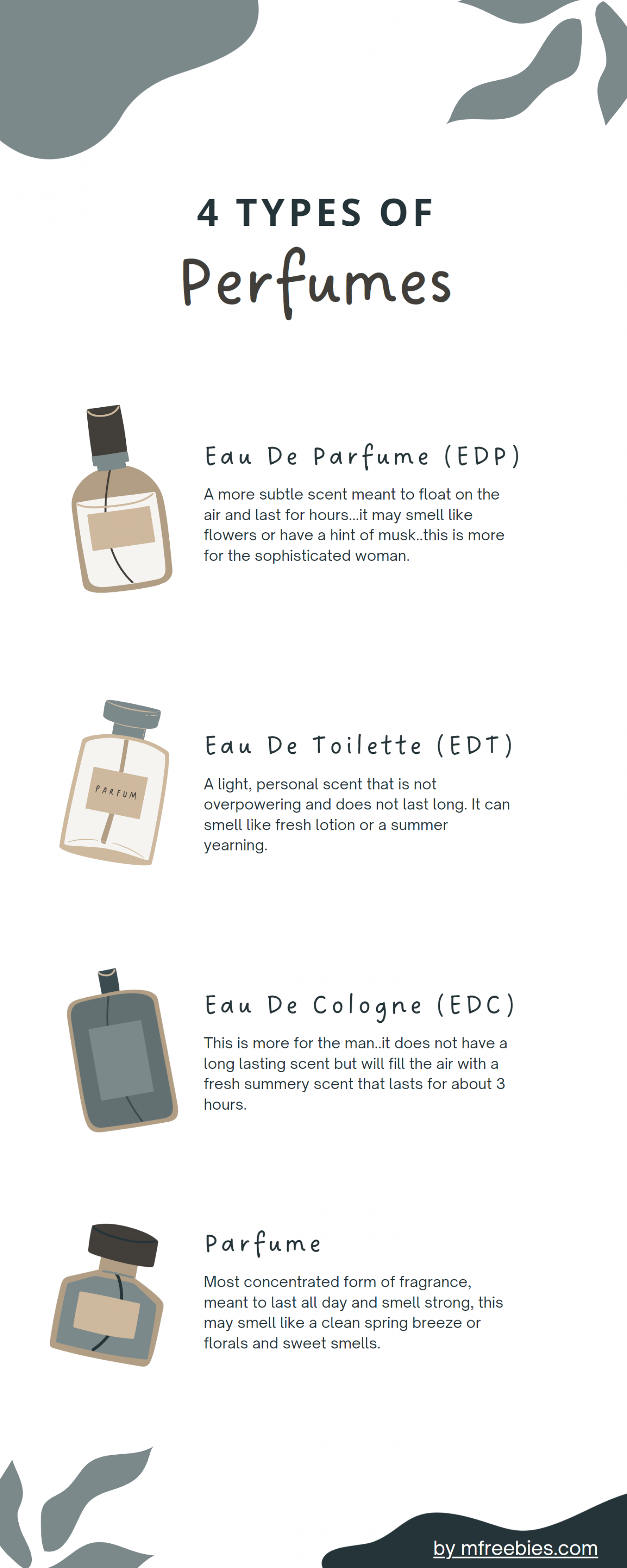 different types of perfumes Infographic