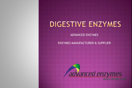 Digestive Enzymes and Their Functions Infographic