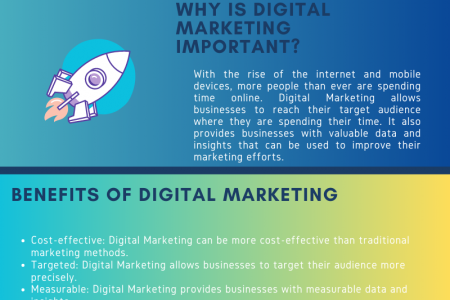 Digital Marketing highlights  Infographic
