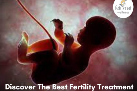 Discover The Best Fertility Treatment Infographic